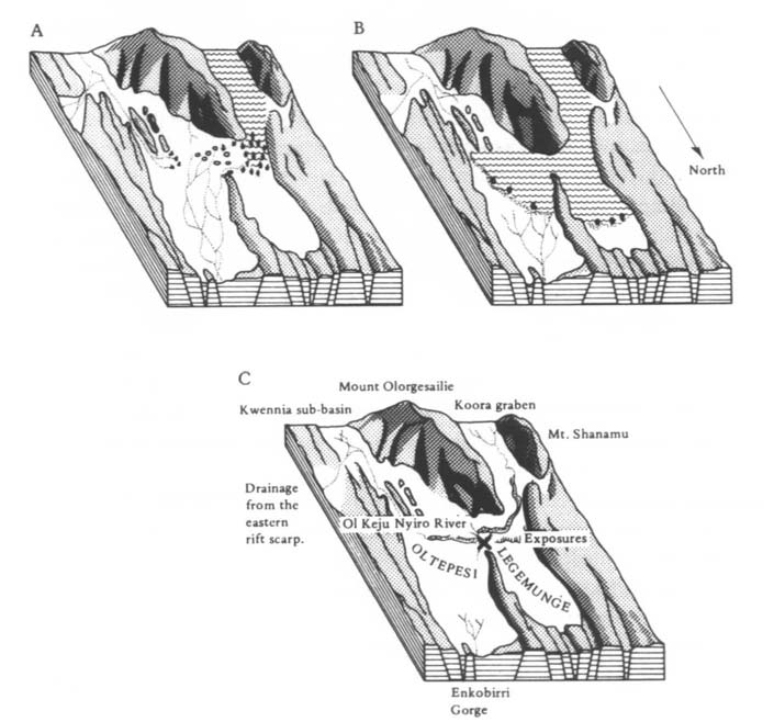 Isimila sediment trap and eroding artifact-bearing strata in central Tanzania