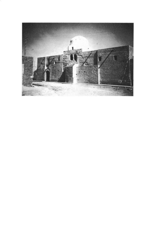 Dense oasis settlement network of Wadi Righ with fortified villages and palm groves