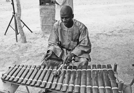 Detailed Mande bala xylophone with rosewood slabs and gourd resonators