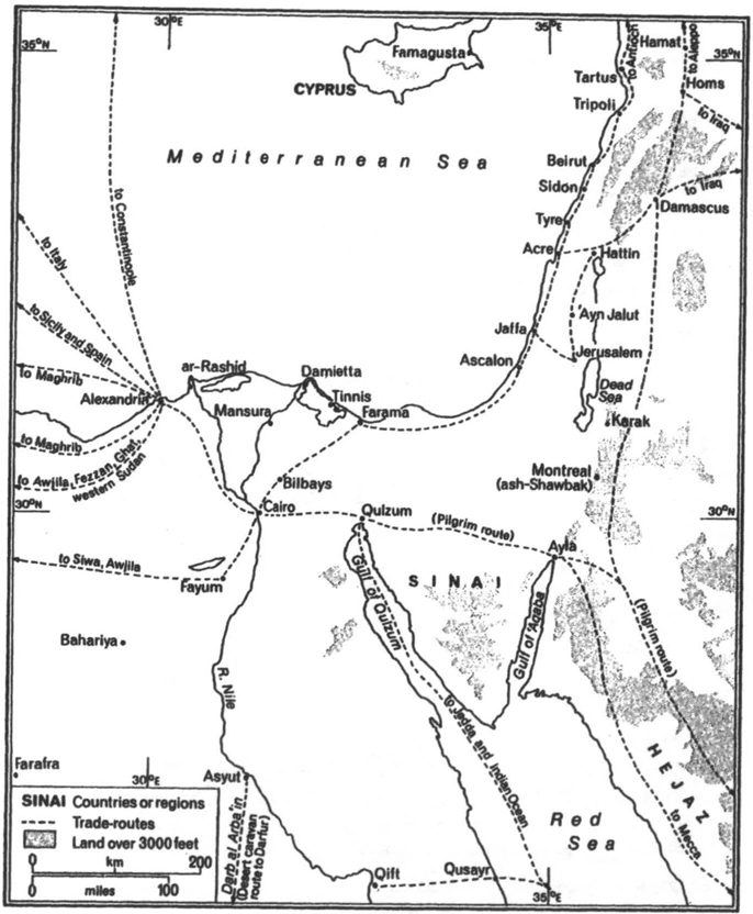 Fatimid Egypt’s trade network linking the Nile Valley, Syria, Yemen, the Red Sea, and Mediterranean ports