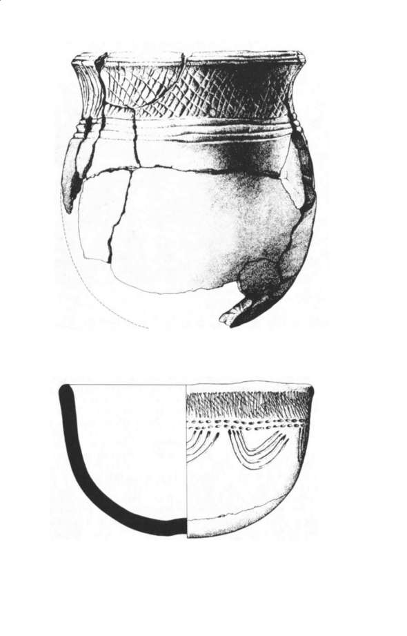 Urewe pottery and reconstructed Early Iron Age furnaces in Rwanda