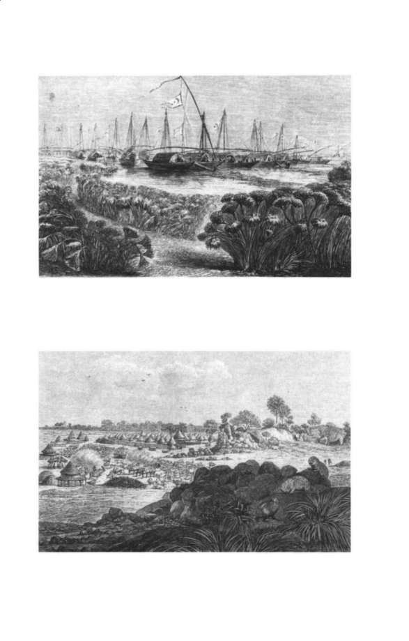 Bari fighters confronting a nineteenth-century trading mission near the Upper Nile