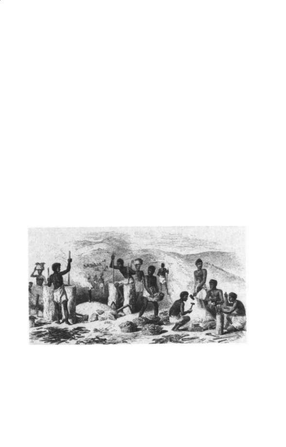 Mission schools, printing, and early medical institutions in nineteenth-century Antananarivo