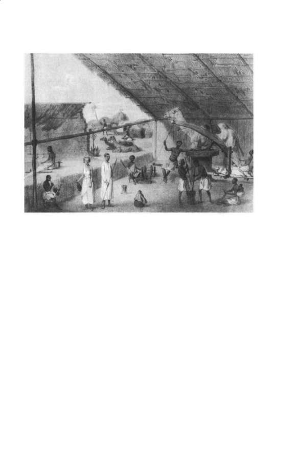 Said bin Sultan and the expansion of Busa'idi authority along the Swahili coast