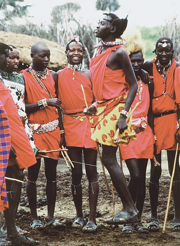 Maasai pastoralists moving cattle across East African savanna